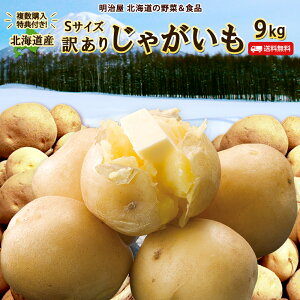 y\񏤕izy11{-11{͂z_wTt^󂠂VႪ  9kg STCY kCY jZRY WKC  킯 PA SkႪS