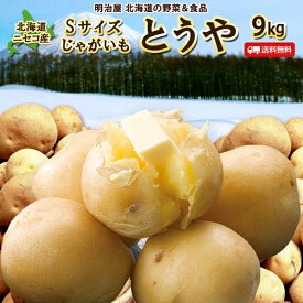 ＼楽天スーパーSALE！半額！／【9月下旬-10月上旬お届け予定】訳あり じゃがいも 送料無料 9kg 小さなとうや 北海道産 Sサイズ ジャガイモ 芋 トウヤ わけあり ワケアリ 野菜 Sとうや