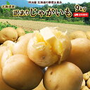 ＼楽天スーパーSALE！39％OFF／【予約商品】【10月中旬-下旬お届け予定】わけあり 新じゃがいも 送料無料 9kg 北海道…