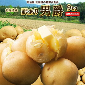 【10月中旬-下旬お届け予定】訳あり 新じゃがいも 送料無料 9kg 男爵 北海道産 B品 ジャガイモ 芋 ダンシャク わけあり ワケアリ 野菜 訳男■男爵B●