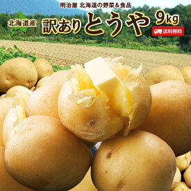 【予約商品】【9月中旬-下旬お届け予定】訳あり 新じゃがいも 送料無料 9kg とうや 北海道産 B品 ジャガイモ 芋 トウヤ わけあり ワケアリ 野菜 訳とうや■とうやB●