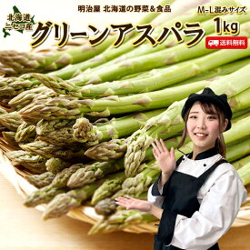 【5月下旬-6月中旬お届け】アスパラ 送料無料 1kg M〜Lサイズ 北海道 ニセコ産 低農薬栽培 グリーンアスパラ 朝採り直送 クール便 ギフト アスパラガス 冷蔵便 野菜ギフト 野菜 お中元ギフト