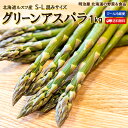 ＼50％OFFクーポン利用で3,333円／【出荷中】アスパラ 送料無料 1kg S〜L混みサイズ 北海道産 グリーンアスパラ 朝採…