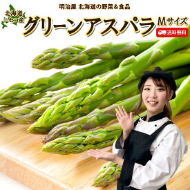 【予約商品】【5月下旬-6月中旬お届け予定】アスパラ 送料無料 1kg/2kg Mサイズ 北海道 ニセコ産 低農薬栽培 グリーンアスパラ 朝採り直送 クール便 ギフト アスパラガス 冷蔵便 野菜ギフト 野菜 お中元ギフト■グリーンアスパラM●