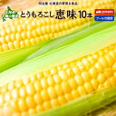 ＼50％OFFクーポン発行中／【予約商品】【8月下旬-9月上旬お届け】とうもろこし 送料無料 恵味 L-LLサイズ 10本 朝採…