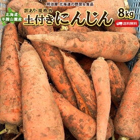 【予約商品】【10月上旬よりお届け予定】わけありにんじん 送料無料 8kg 北海道産 にんじん 訳あり 規格外 土付き発送 わけあり 数量限定 ワケアリ 人参 ニンジンジュース■にんじん8●