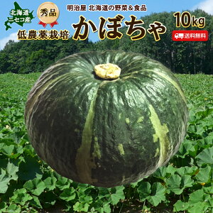 y\񏤕izy10{\zڂ  5kg/10kg kC jZRY Di _͔| kCY J{` nEBڂDi