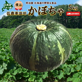 【9月中旬-下旬お届け予定】かぼちゃ 送料無料 5kg 北海道 ニセコ産 優品 低農薬栽培 北海道産 カボチャ ハロウィン