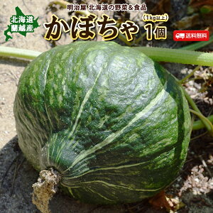 かぼちゃ 送料無料 1個 （1kg以上）北海道 蘭越産 秀品 北海道産 カボチャ ハロウィン