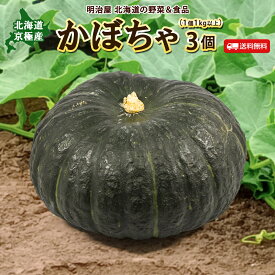 【出荷中】かぼちゃ 送料無料 3個（1個1kg以上） 北海道 京極産 ブラックのジョー 北海道産 カボチャ ハロウィン■かぼちゃ3個●