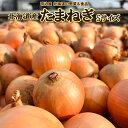 わけありたまねぎ8kg 送料無料 Sサイズ 玉ねぎ タマネギ 北海道産 わけありなのは小さなサイズ ■たまねぎSサイズ●