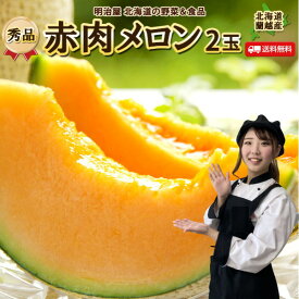 ＼楽天スーパーSALE！10％OFF／【予約商品】【7月上旬-下旬お届け予定】メロン 送料無料 1玉/2玉/8kg 北海道蘭越産 1玉あたり1.3kg以上 【秀品】御中元 贈答 夏ギフト お取寄せ 果物ギフト フルーツ 内祝 プレゼント 法要 帰省土産 暑中見舞い 御礼 ■北海道産赤肉メロン●