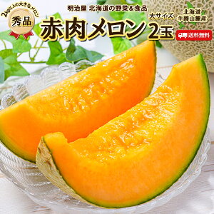 �_300�~�N�[�|�����s����^�y�\�񏤕i�z�y7����{-���{���͂��\��z�傫�ȃ����� �������� �r�b�N�T�C�Y �y2�ʁz �ԓ� �k�C�����z�Y �y�G�i�z 1�ʂ�����2kg�ȏ� �䒆�� �ăM�t�g ����� ��