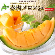 ＼楽天スーパーセール半額／【予約商品】【7月上旬-下旬お届け予定】メロン 送料無料 【2玉】 赤肉 北海…