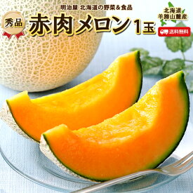 【お届け期間7月上旬-8月上旬】メロン 送料無料 1玉 赤肉 北海道羊蹄山麓産 1玉あたり1.3kg以上 【秀品】 低農薬栽培 御中元 贈答 夏ギフト お取寄せ 果物ギフト フルーツ 内祝 プレゼント 法要 帰省土産 暑中見舞い 御礼 御祝 お返し