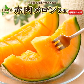 【採れたて出荷中】【7月中旬-下旬お届け】メロン 送料無料 2玉 赤肉 北海道産 【秀品】 1玉あたり1.3kg以上 【秀品】 御中元 贈答 夏ギフト お取寄せ 果物ギフト フルーツ 内祝 プレゼント 法要 帰省土産 暑中見舞い■北海道産赤肉メロン●