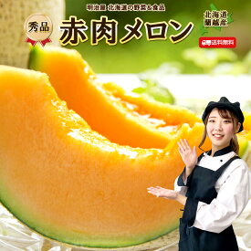 【採れたて出荷中】【7月中旬-下旬お届け】メロン 送料無料 2玉 北海道蘭越産 1玉あたり1.3kg以上 【秀品】御中元 贈答 夏ギフト お取寄せ 果物ギフト フルーツ 内祝 プレゼント 法要 帰省土産 暑中見舞い 御礼 御祝 お返し■北海道産赤肉メロン●