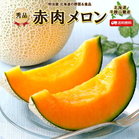 ＼300円OFFクーポン発行中♪／【出荷中】メロン 送料無料 1玉/2玉/8kg 赤肉 北海道羊蹄山麓産 【秀品】 1玉あたり1.3kg以上 御中元 贈答 夏ギフト お取寄せ 果物ギフト フルーツ 内祝 プレゼント 法要 帰省土産 暑中見舞い 御礼 御祝 お返し■北海道産赤肉メロン●