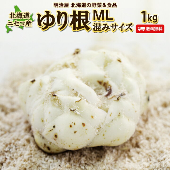 楽天市場】＼最安値に挑戦！／【出荷中】ゆり根 送料無料 1kg/2kg 