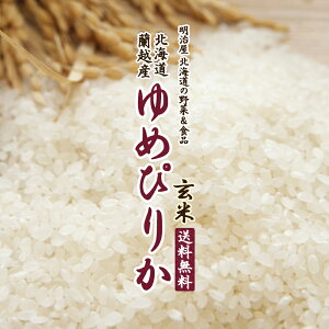 yoגz߂҂肩yāz 10kg  ߘa7N V kCY zY  sJ kCā߂҂肩ā