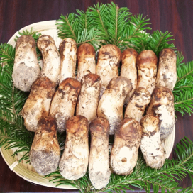 北海道　松茸　250g ⑤ 楽天市場】 松茸 : 明治屋 北海道の野菜＆食品