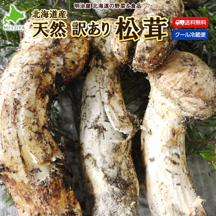 楽天市場】【9月中旬－10月上旬採れ次第発送】訳あり松茸 送料無料 