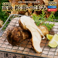 ＼50％OFFクーポン発行中／【9月下旬-10月上旬お届け予定】松茸 送料無料 つぼみ 200g 北海道 むかわ町穂…