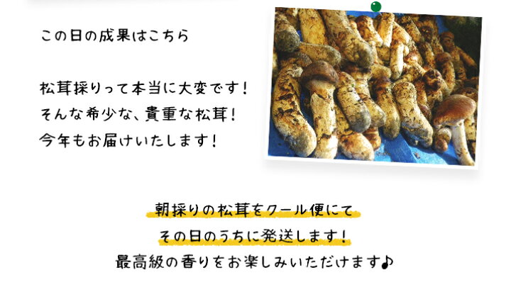 楽天市場】【予約商品】【9月中旬－10月上旬採れ次第発送】松茸 送料 