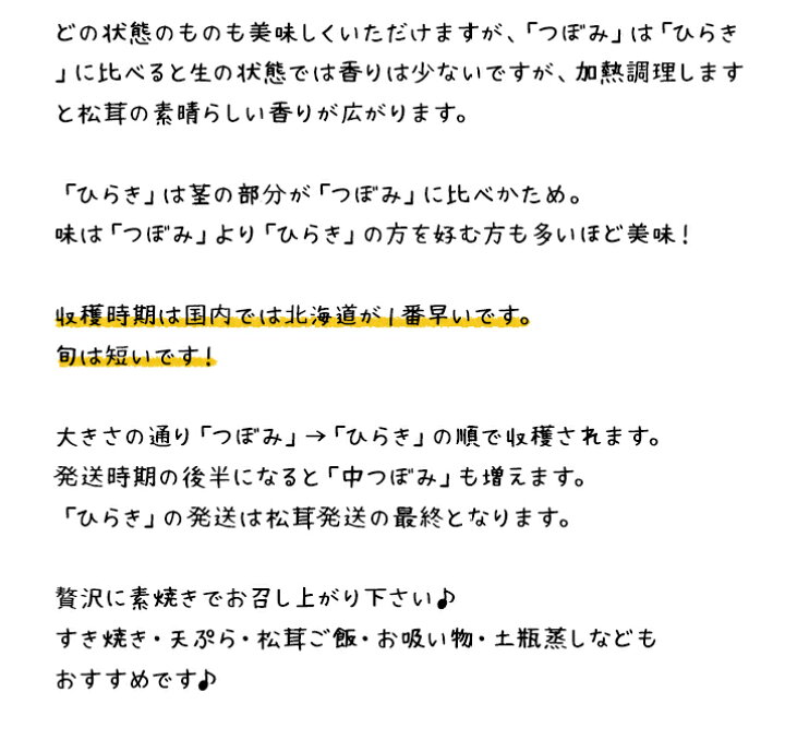 楽天市場】【予約商品】【9月中旬－10月上旬採れ次第発送】松茸 送料 