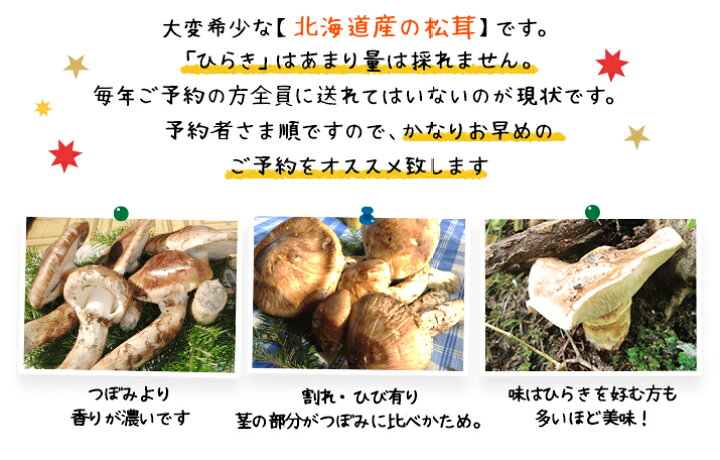 楽天市場】【9月中旬－10月上旬採れ次第発送】松茸 送料無料 ひらき  