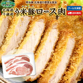 ★300円OFFクーポン発行中★うまいとん 送料無料 北海道 千歳産 う米豚 ロース肉 120g×5枚 ギフト 送料込み 豚肉 北海道産 肉専門店 サンビーム食品 札幌 肉ギフト お中元ギフト 夏ギフト お取り寄せ 肉のサンビーム 父の日ギフト