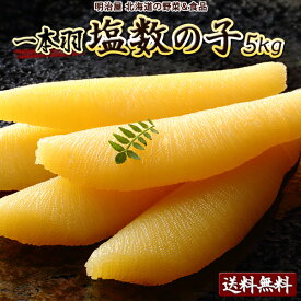 ★1,000円OFFクーポン発行中★塩数の子 送料無料 5kg 500g×10箱 1本羽 化粧箱 北海道加工 ジャンボ 特大-特々々大 御歳暮ギフト送料込み 【常温便発送】 ※冷蔵便選択可能※ 数の子 かずのこ カズノコ 海産ギフト 塩化粧5kg 贅沢おつまみ