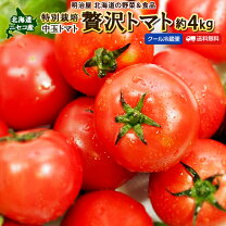 楽天市場】ぜいたくトマトの通販