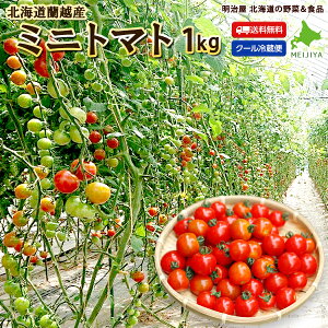 ミニトマト 1kgの人気商品 通販 価格比較 価格 Com ミニトマト 1kgの人気商品 通販 価格比較 価格 Com