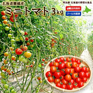 ミニトマト 1kgの人気商品 通販 価格比較 価格 Com