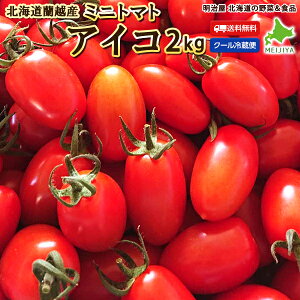 野菜 1kg トマトの人気商品 通販 価格比較 価格 Com