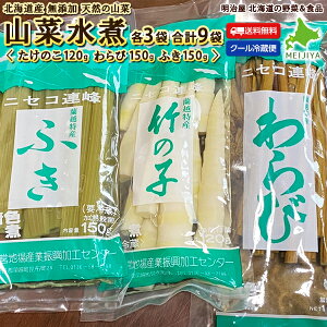 無添加 たけのこの人気商品 通販 価格比較 価格 Com