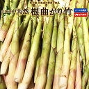【予約商品】【5月下旬-6月下旬お届け】たけのこ 送料無料 根曲がり竹 1kg/2kg/3kg/5kg 生 北海道産 天然 春の山菜 タ…