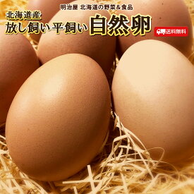 たまご 送料無料 自然卵 30個/50個/80個/160個 北海道産 赤玉鶏 破損保証10個-40個含む 常温発送 平飼い 放し飼い 送料込み 卵 玉子 タマゴ■自然卵●