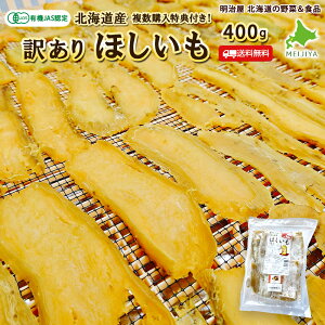 y10-11͂z󂠂ق  400g wTt  L@قÂ L@͔| JASF  kCY YI[KjbN Y g͂邩 VNXC[g g