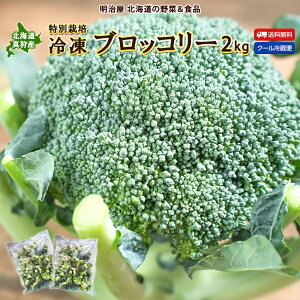 ubR[ ⓀubR[ ʍ͔|  2kg(500g×4) kC^Y Ⓚ ̂ꂽĂċ}Ⓚ  ٓⓀubR[2kg