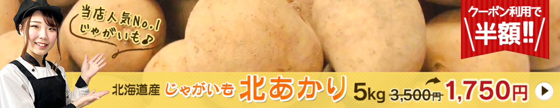 じゃがいも北あかり50％OFFクーポン発行中！