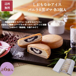 \マラソン限定P10倍/ 【TV番組で紹介】送料無料 【しおもなかアイス バニラ&黒ゴマ 各3個/6個入】 アイス もなか はちみつ チーズ明治記念館 贈答 ギフト 内祝 お礼 結婚 ご挨拶 手土産 人