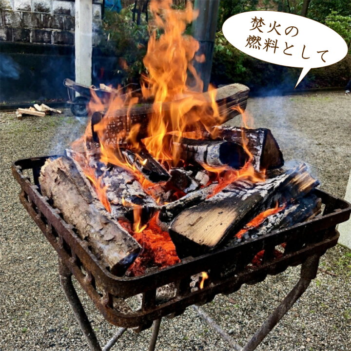 楽天市場】【期間限定250円お値引き・送料無料】レビュー数・評点で  