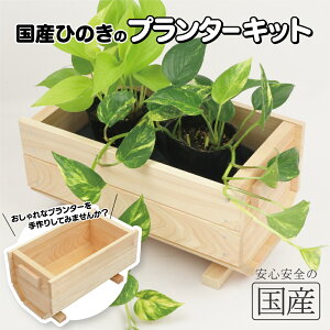 yYЂ̂zv^[ Lbg  DIY  K[fjO H ؍H ċx R eq {