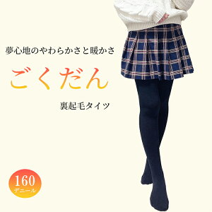 真冬専用 ごくだん 夢心地のやわらかさと暖かさ 160デニール裏起毛タイツ タイツ 裏起毛タイツ レディース 裏起毛 極