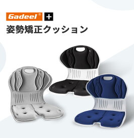 【ポイント3倍】GADEEL 骨盤サポート チェア 姿勢矯正 座布団 腰枕 骨盤から腰をサポート 姿勢サポートチェア ランバーサポート シートクッション 人間工学 猫背改善 椅子として使用可能 軽量 持運び簡単 オフィス テレワーク 学生 ギフト