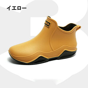 Cu[c fB[X CV[Y ZC jp hV[Y JC V[g u[c y ~ Sh Jp ʋ ʊw ~J΍ 䕗 | ނ _