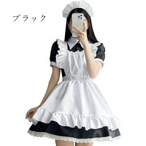 Ch RXv RJtF Ch Gv  V[g ChRX`[  fB[X Y Zbg ꎮ Ղ Cxg p[eB[ l jp