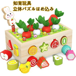 ߋ `킹ؐ ʕ̔Fm `͂ߍ _卪 ΒQ[ j ̎q ̎q J wP a NX}X v[g j